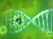 Darstellung eines Coronavirus