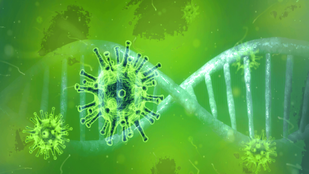 Darstellung eines Coronavirus