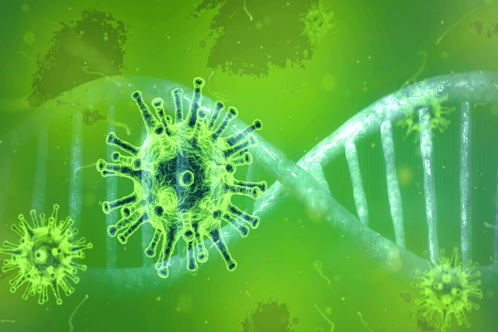 Darstellung eines Coronavirus