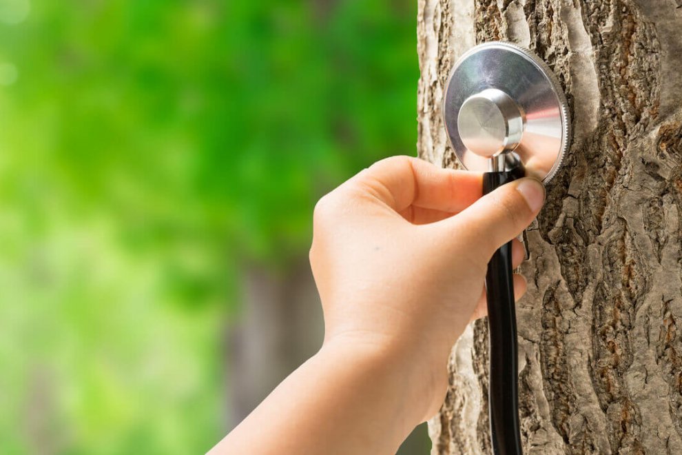 Ein Stethoskop ist ein oft benutztes Hilfsmittel zur Diagnostik