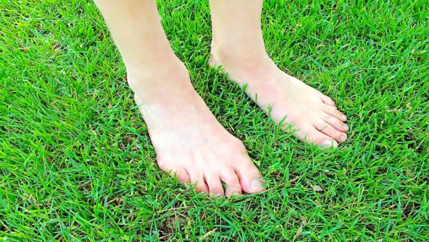 Füßem im grünen Gras